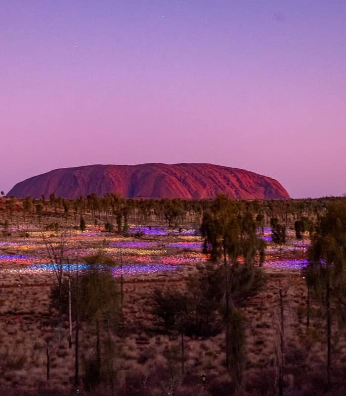 A wide night shot of the Field of Light installation near Uluru, showing thousands of glowing, multi-colored light spheres on slender stems under a dark, starry sky.
