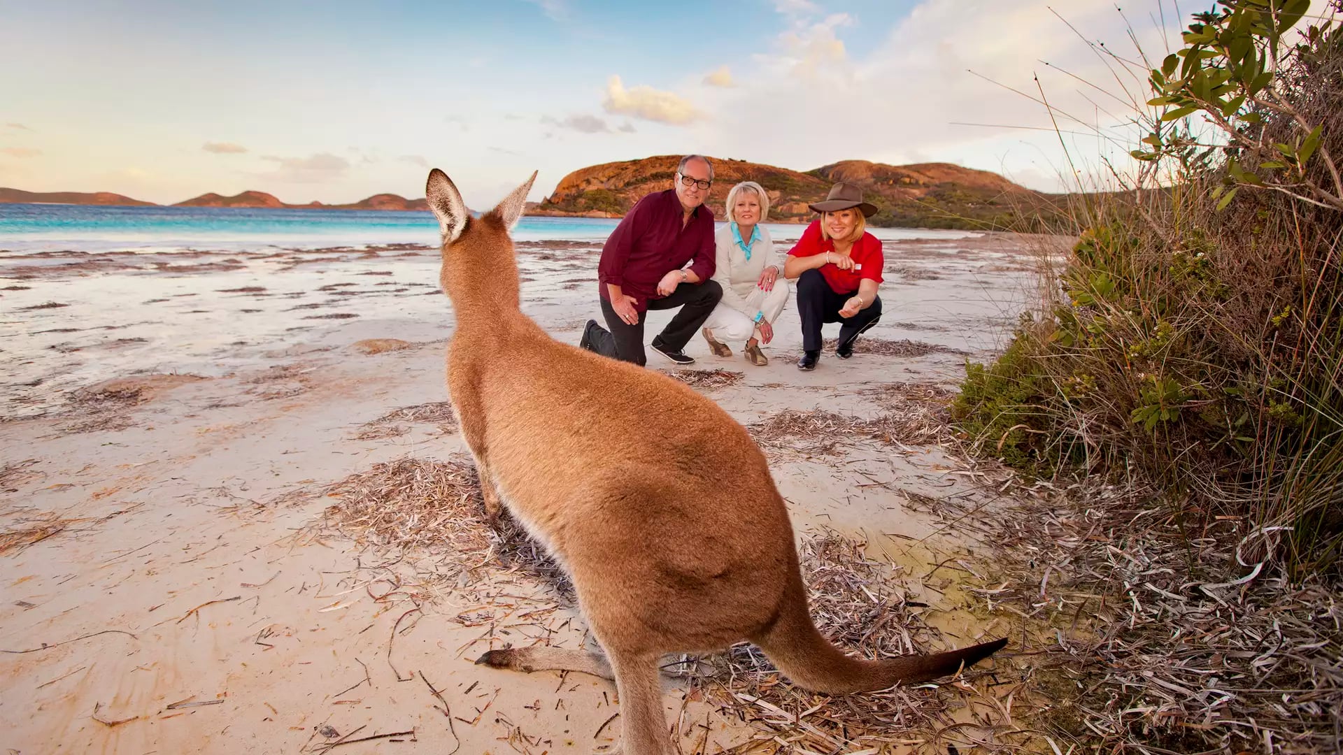 A kangaroo standing on the white sand of Lucky Bay beach in Esperance, Western Australia, with tourists in the background.