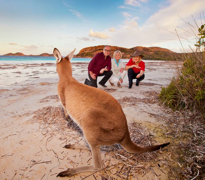 A kangaroo standing on the white sand of Lucky Bay beach in Esperance, Western Australia, with tourists in the background.