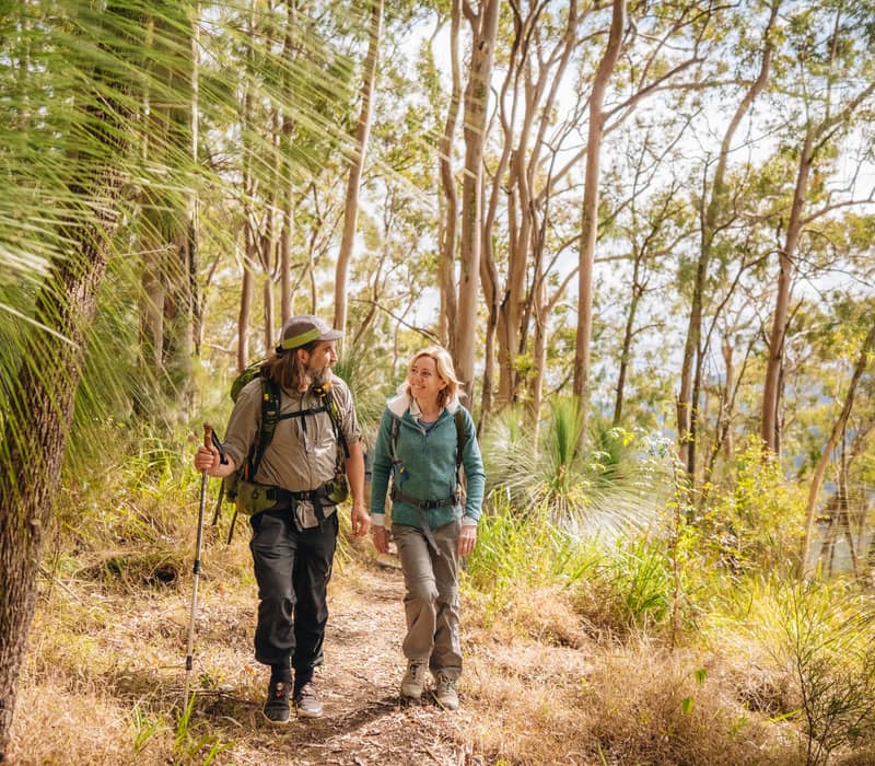 A male guide and female hiker walking and talking on a dirt trail through tall gum trees in the Scenic Rim.