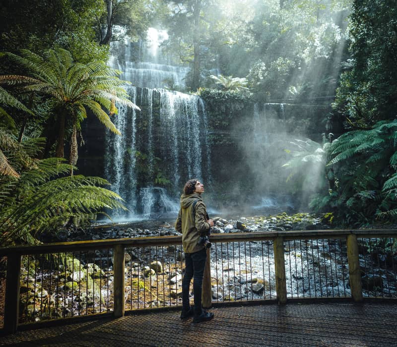 A traveler looking up at the cascading Russell Falls surrounded by lush green ferns and morning sunbeams in Tasmania.