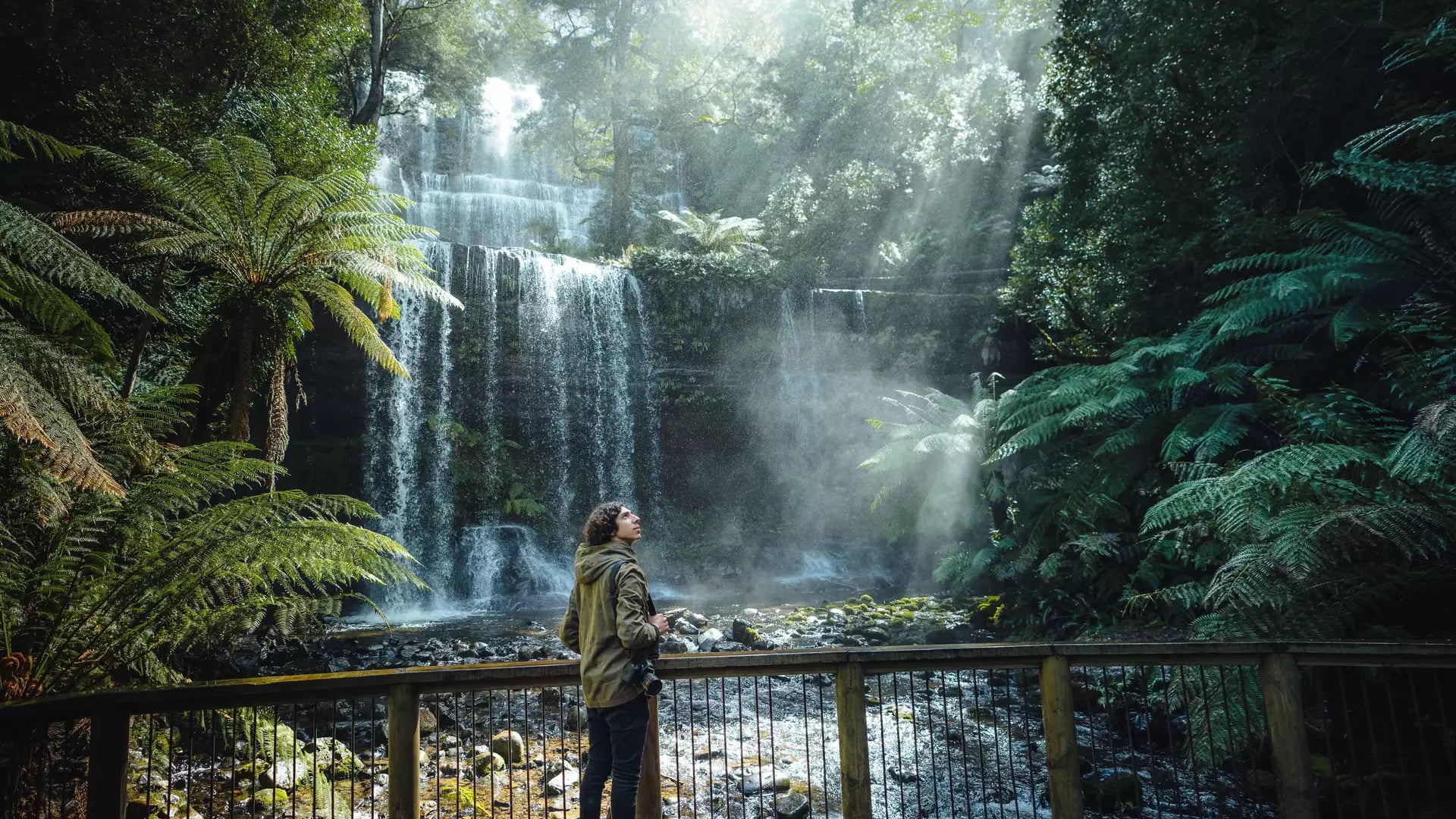 A traveler looking up at the cascading Russell Falls surrounded by lush green ferns and morning sunbeams in Tasmania.