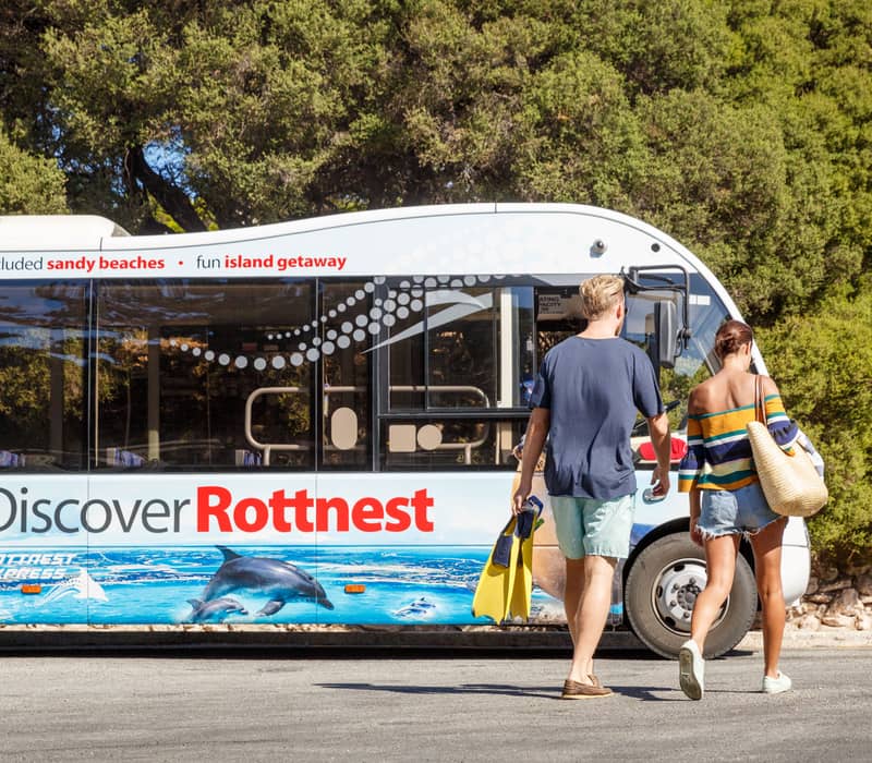 A couple with flippers walking toward a tour bus with Rottnest Island branding.