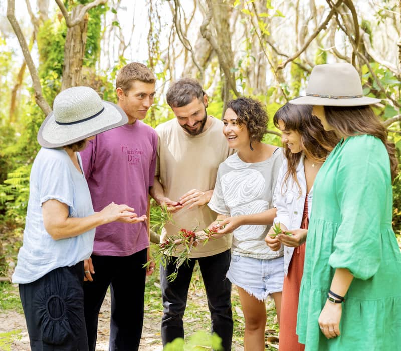 A guide showing a group of travelers native plants and flowers in a bright, sun-drenched forest.