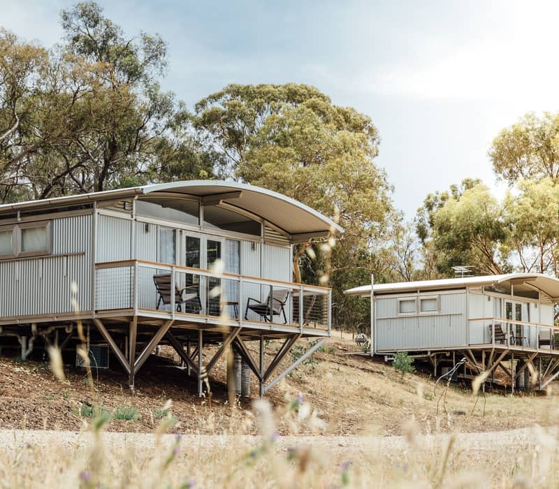 Two contemporary elevated corrugated-metal eco-villas with curved roofs standing on a dry, grassy hillside surrounded by gum trees.