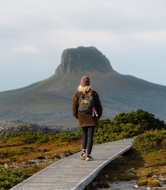 Rear view of a female hiker with a backpack walking on a wooden boardwalk towards Barn Bluff in Tasmania.