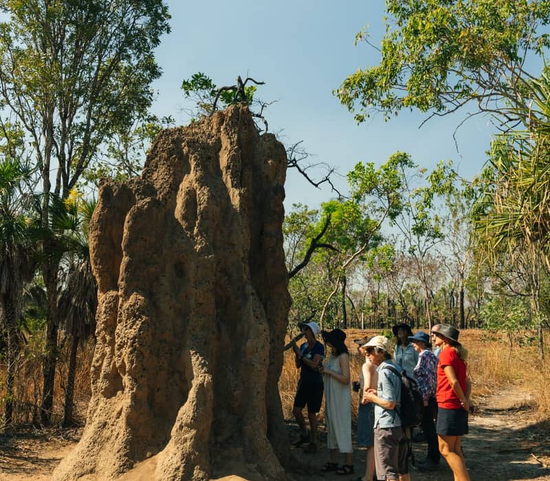 A vertical photo of a group of travelers standing next to a massive, jagged brown termite mound that is much taller than them.