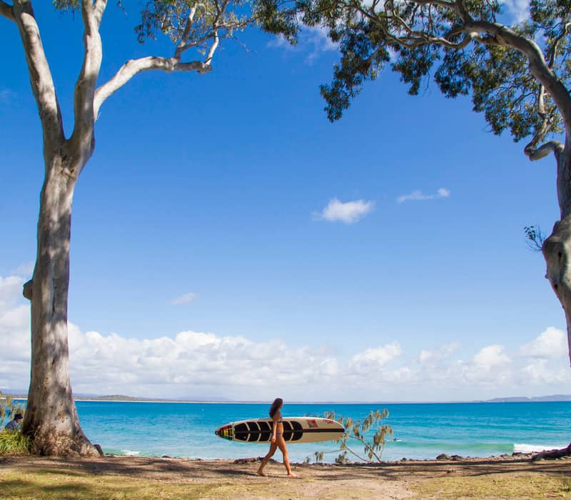 Framed by two tall white trees, a surfer carrying a longboard walks toward the bright blue water of a Noosa National Park beach in Queensland.