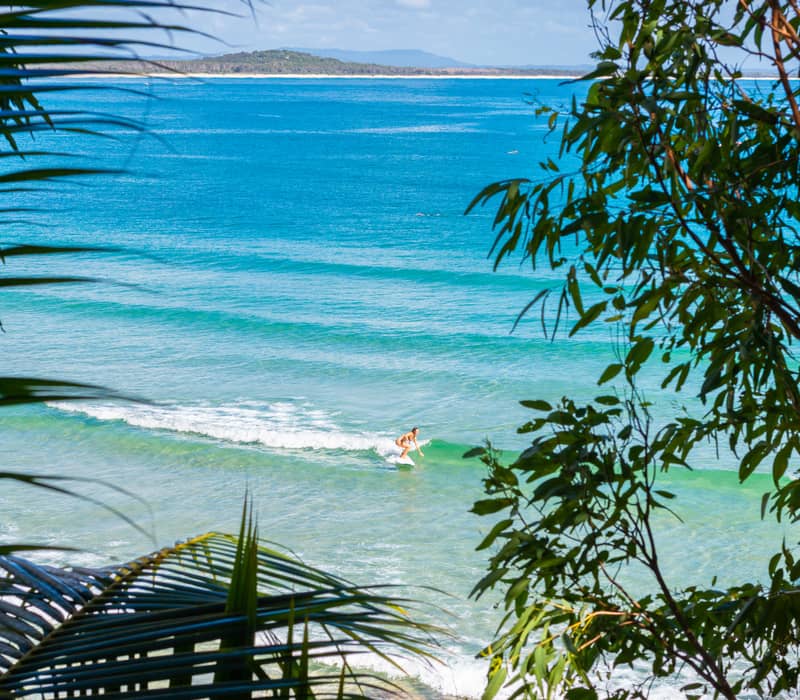 Framed by tropical green leaves, a surfer rides a small turquoise wave in the clear water of Tea Tree Bay at Noosa.