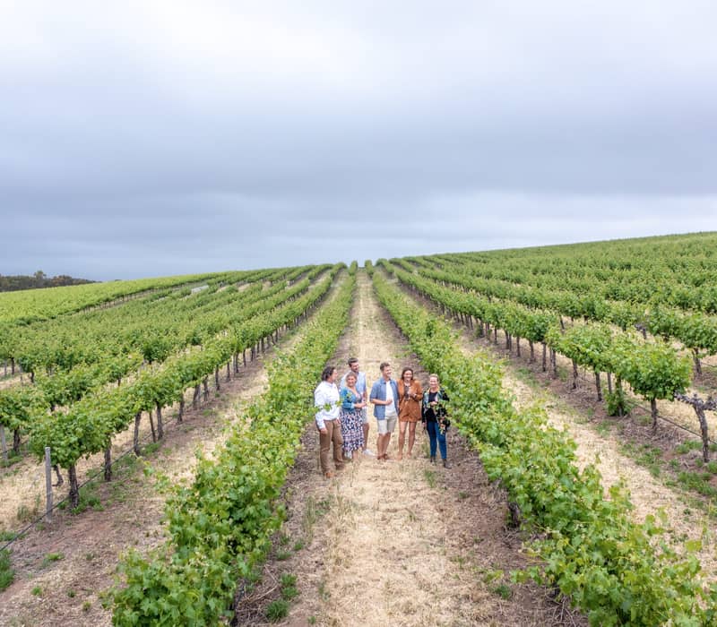 A group of travelers stands between rows of grapevines on a cloudy day in South Australia.