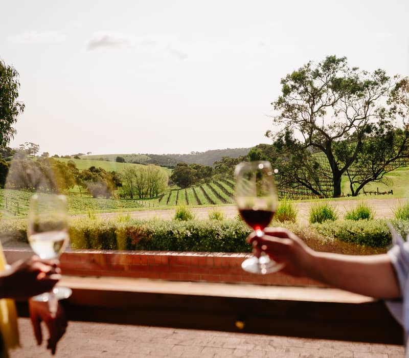 Two people hold wine glasses overlooking lush green vineyards in the Fleurieu Peninsula.