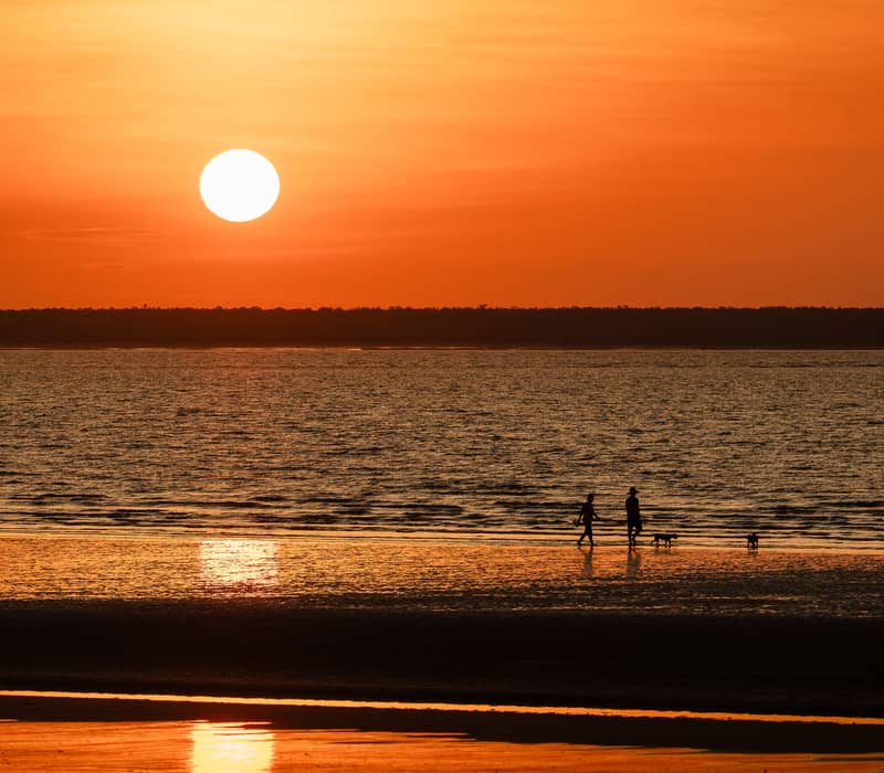 A serene shot of the iconic Darwin sunset at Mindil Beach, featuring people walking dogs along the reflective shoreline under a fiery orange sky.