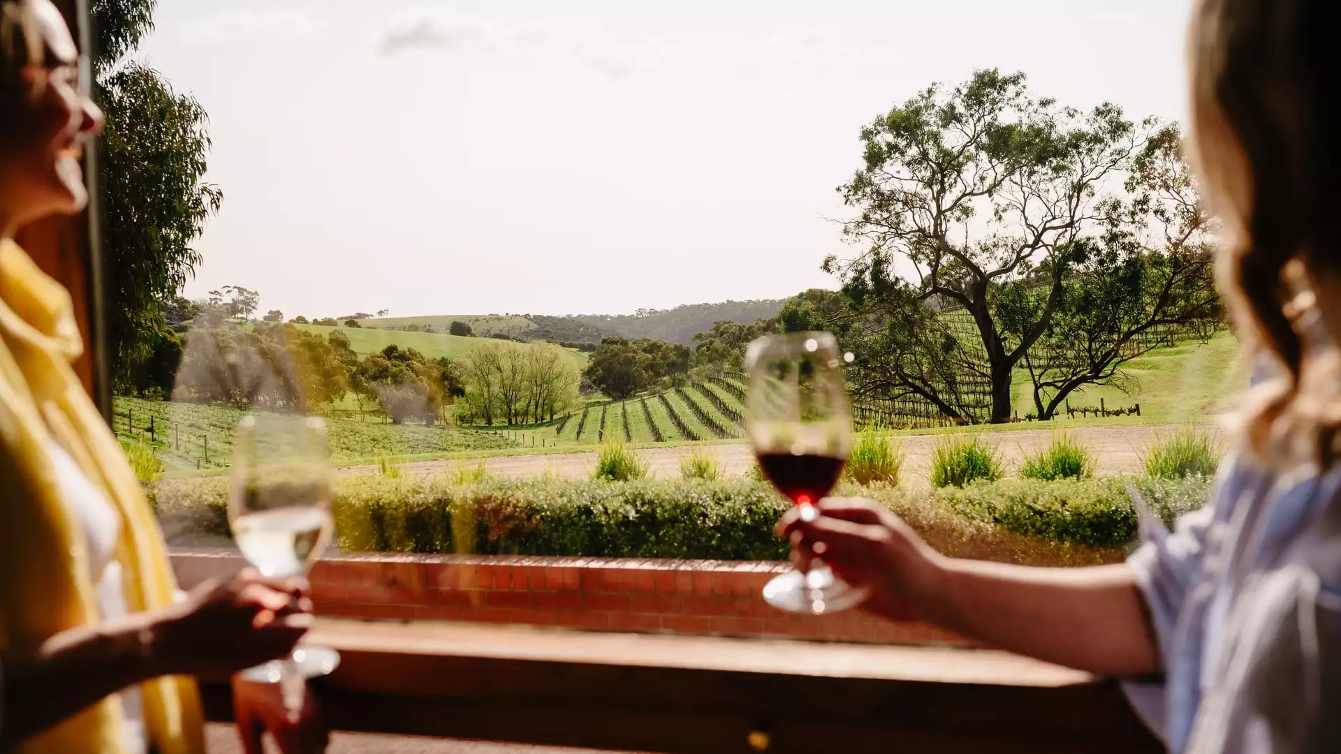 Two people hold wine glasses overlooking lush green vineyards in the Fleurieu Peninsula.