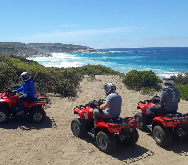 Three riders on red quad bikes navigating sandy terrain overlooking the Southern Ocean coastline.