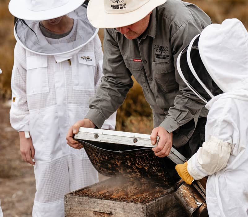 A beekeeper in a wide-brimmed hat showing a honey-filled hive frame to children in white protective bee suits.
