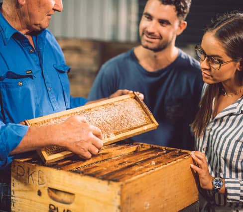 A man in a blue shirt holding a wooden honeycomb frame for two visitors inside a honey processing facility.
