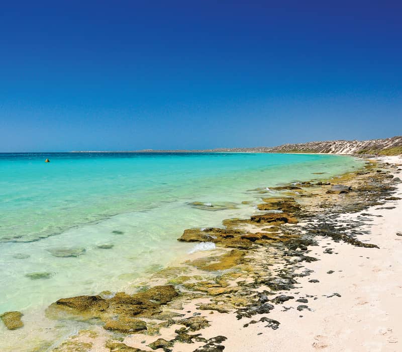 A pristine white sand beach with turquoise water 