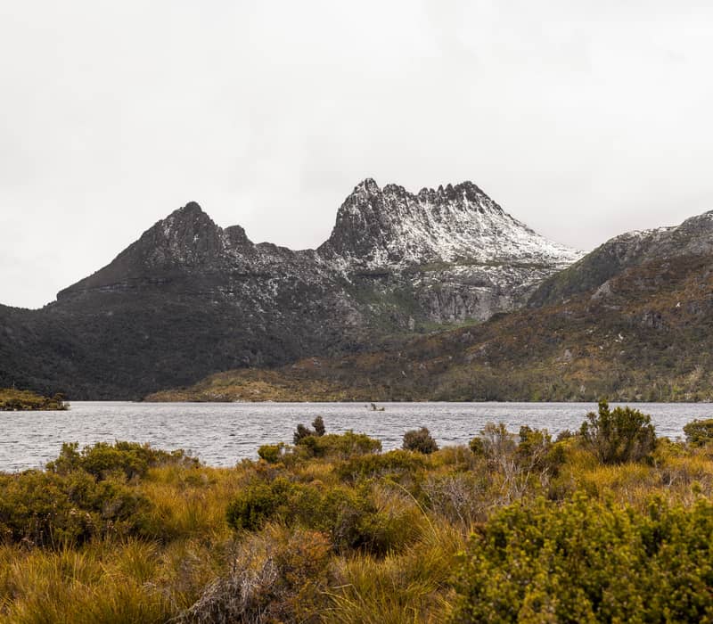 Snow-capped peaks of Cradle Mountain seen across a field of golden alpine grass and Dove Lake.