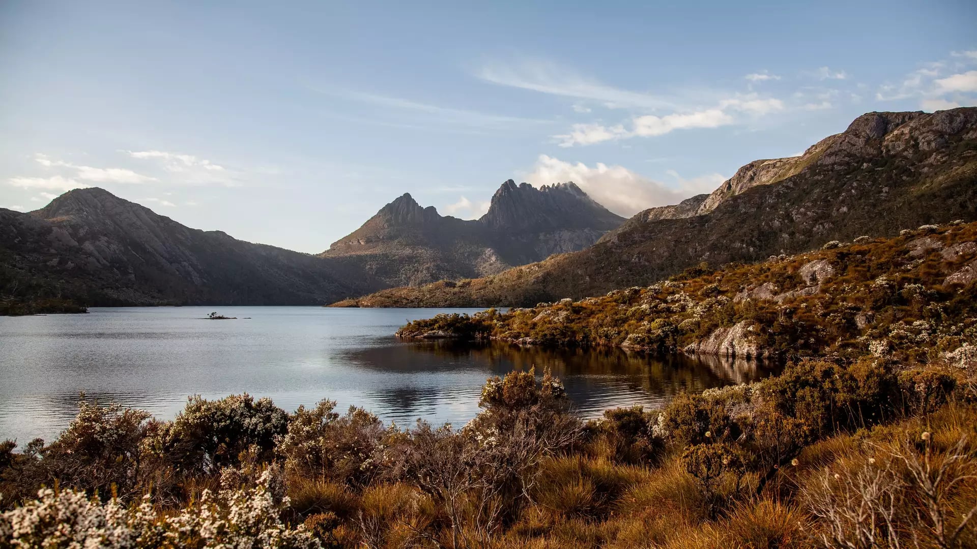 Landscape view of Dove Lake and Cradle Mountain during golden hour with native shrubs in the foreground.