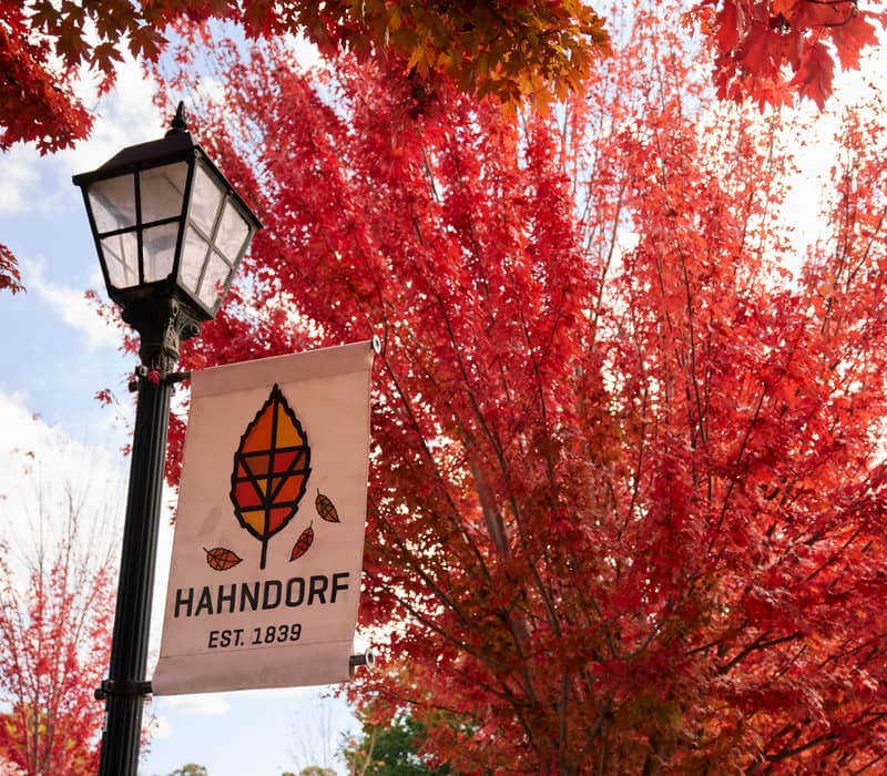 Red autumn maple leaves surrounding a vintage street lamp and Hahndorf tourism sign.