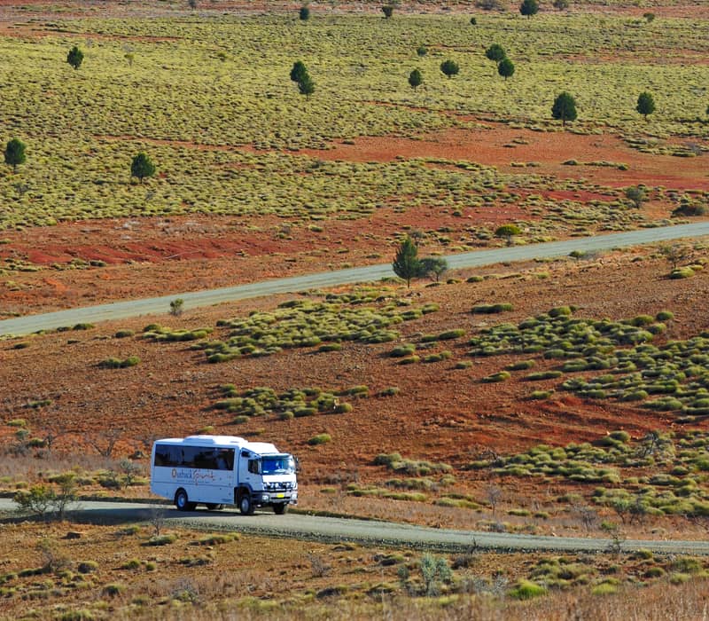 An Outback Spirit 5-star all-terrain Mercedes Benz coach navigating the winding, scenic roads of the Flinders Ranges with the massive walls of Wilpena Pound (Ikara) rising in the distance.