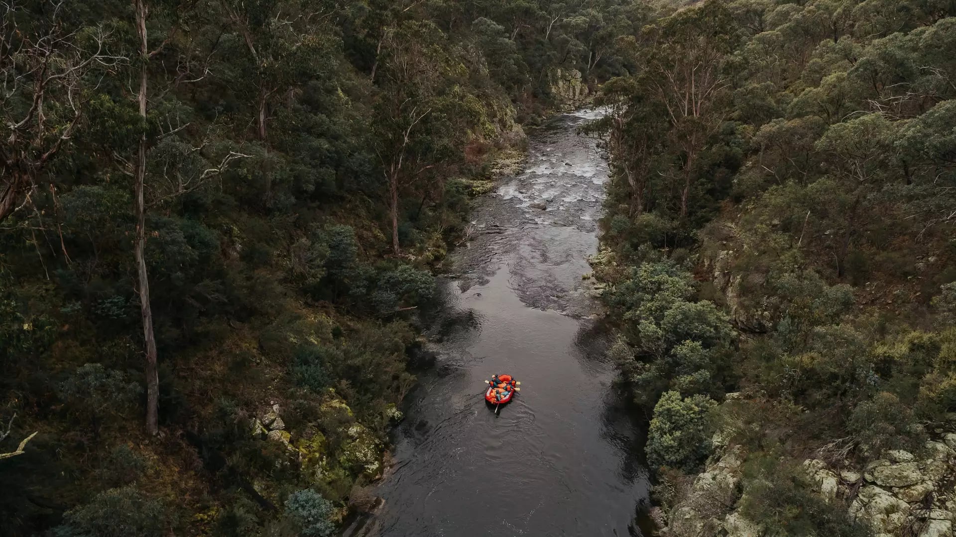 An overhead shot of an orange raft with people paddling down a dark river surrounded by thick eucalyptus forest.