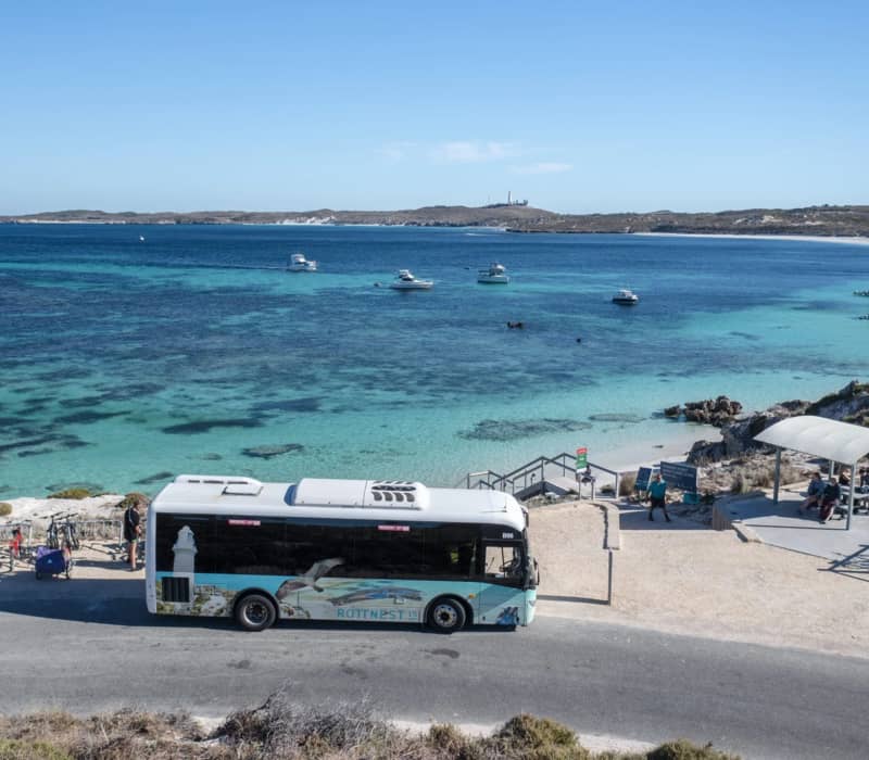 An elevated view of a Quokka Coaches bus at a scenic bay with multiple boats anchored in turquoise water.