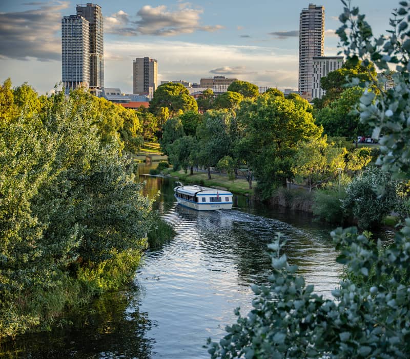 A white cruise boat on a calm river surrounded by green trees with tall city buildings in the distance.