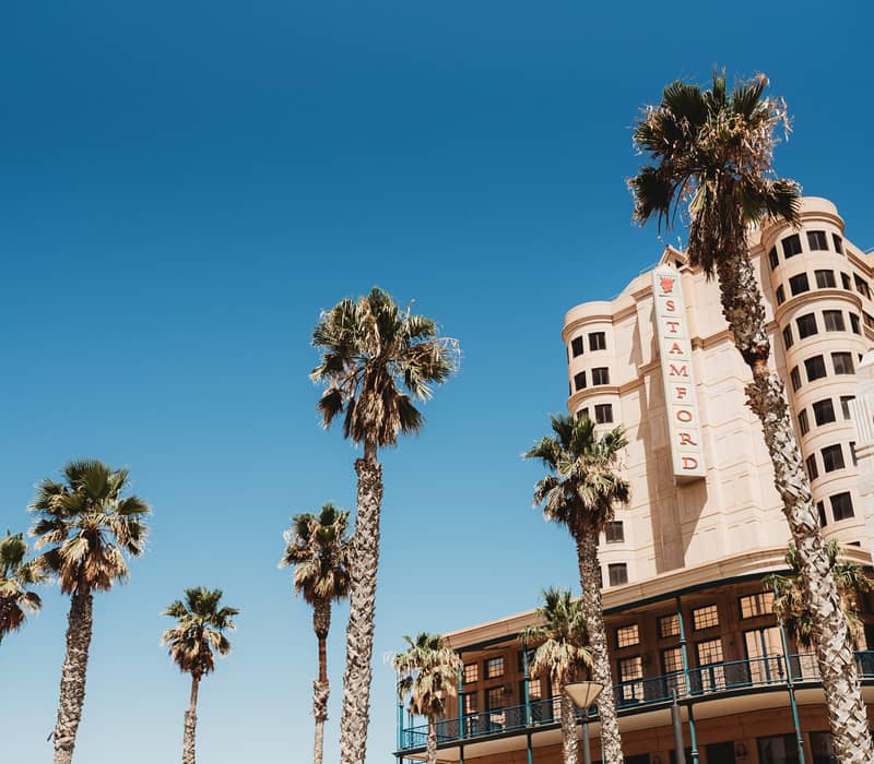 A low-angle view of the iconic Stamford Grand Adelaide hotel at Moseley Square, featuring its grand facade and towering palm trees against a clear blue sky in the premier beachside suburb of Glenelg.