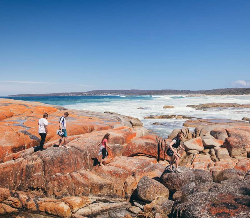 A group of people walking across large rocks covered in bright orange lichen next to a crashing blue ocean under a clear sky.