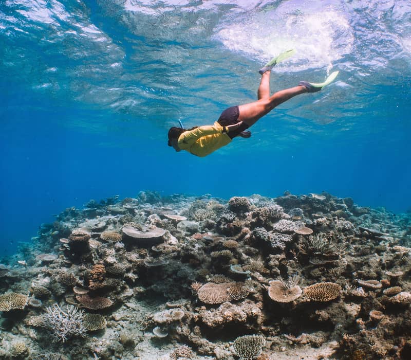 Underwater view of a person snorkeling over diverse coral formations in the clear blue waters of the Great Barrier Reef.