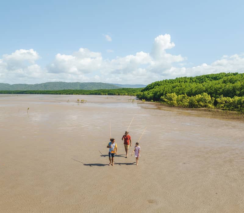 Wonders of Port Douglas Tour