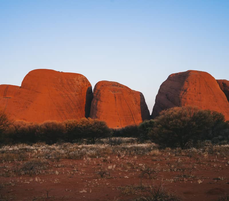 Three enormous, rounded red rock formations stand side-by-side behind a dense line of desert trees in the Northern Territory outback.