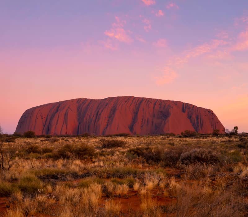 The glowing red surface of Uluru is captured at dusk with a single tall, thin tree standing to the right under a soft purple and pink sky.