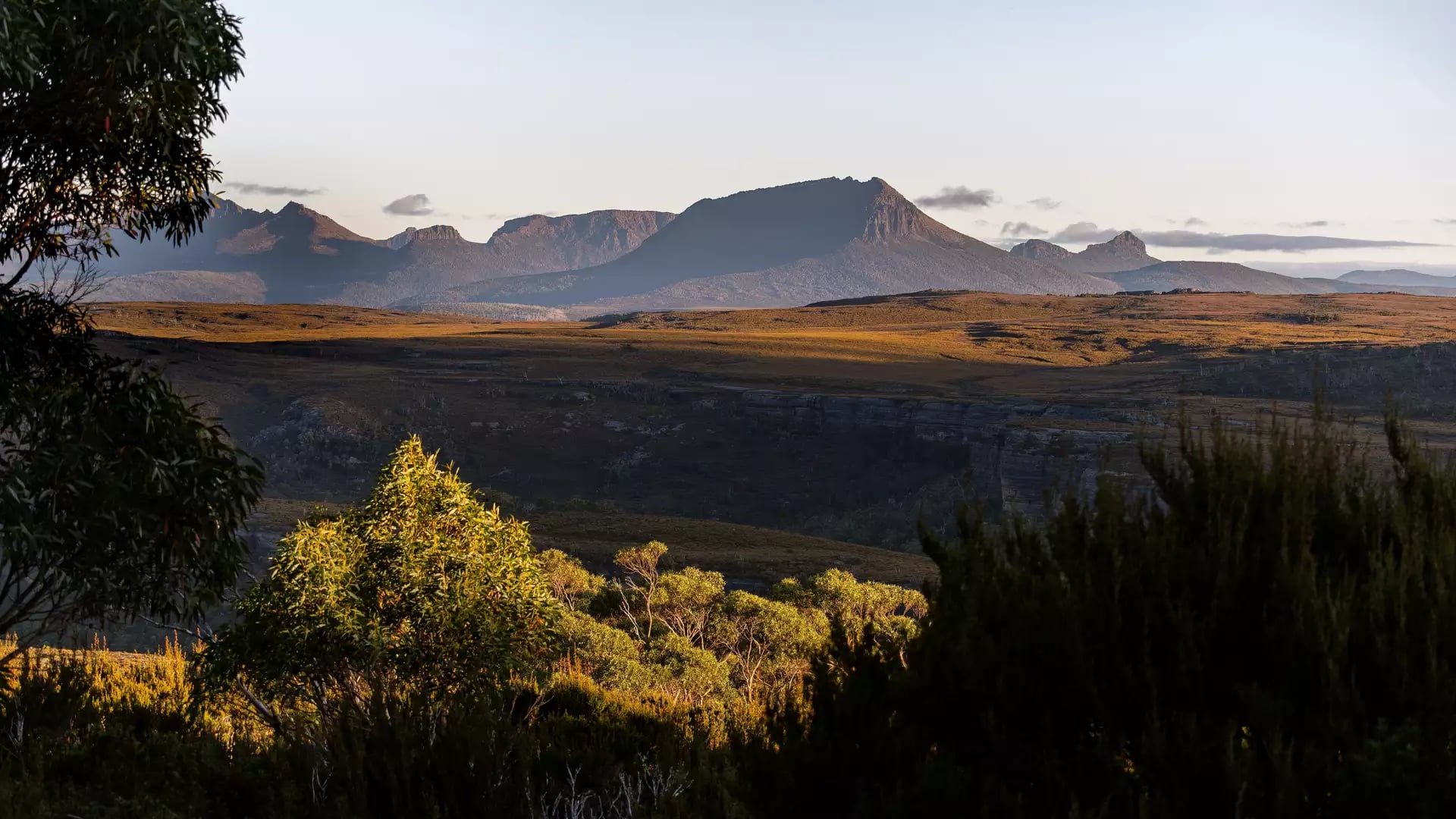 A sweeping evening view across the high-altitude plateau of the Central Highlands, looking toward the distant peaks of the Du Cane and Pelion Ranges. The golden evening light bathes the button grass moorlands, a signature feature of the Tasmanian Wilderne