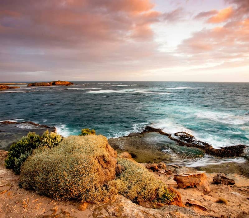 Rocky coast with waves and coastal plants under a colorful sunset sky.