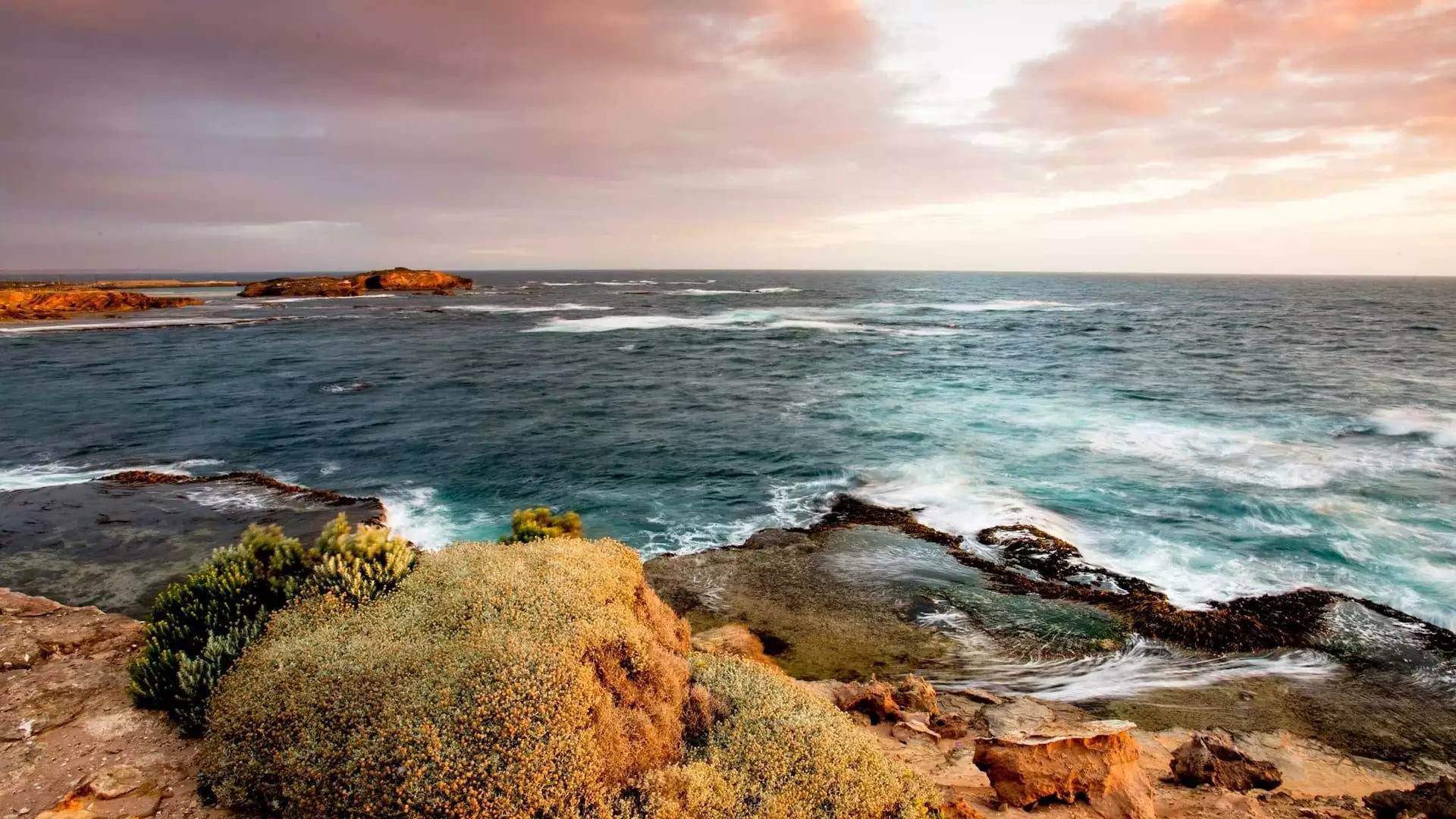 Rocky coast with waves and coastal plants under a colorful sunset sky.