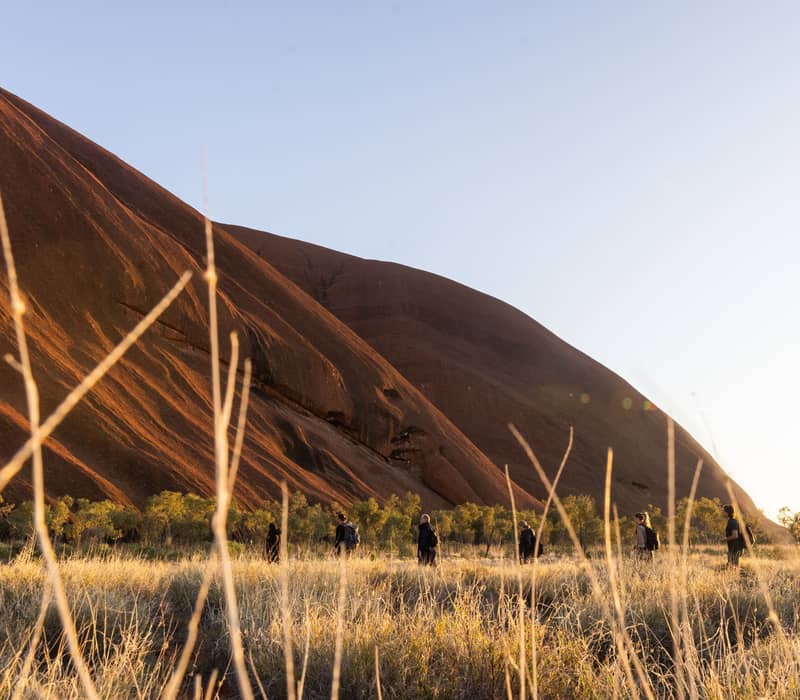 A line of people with backpacks walk through golden desert grasses at the foot of the towering red rock face of Uluru.