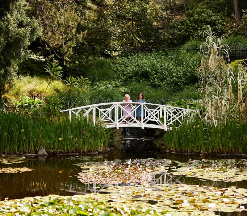 Two people stand on a white decorative bridge over a pond filled with water lilies in a lush botanical garden