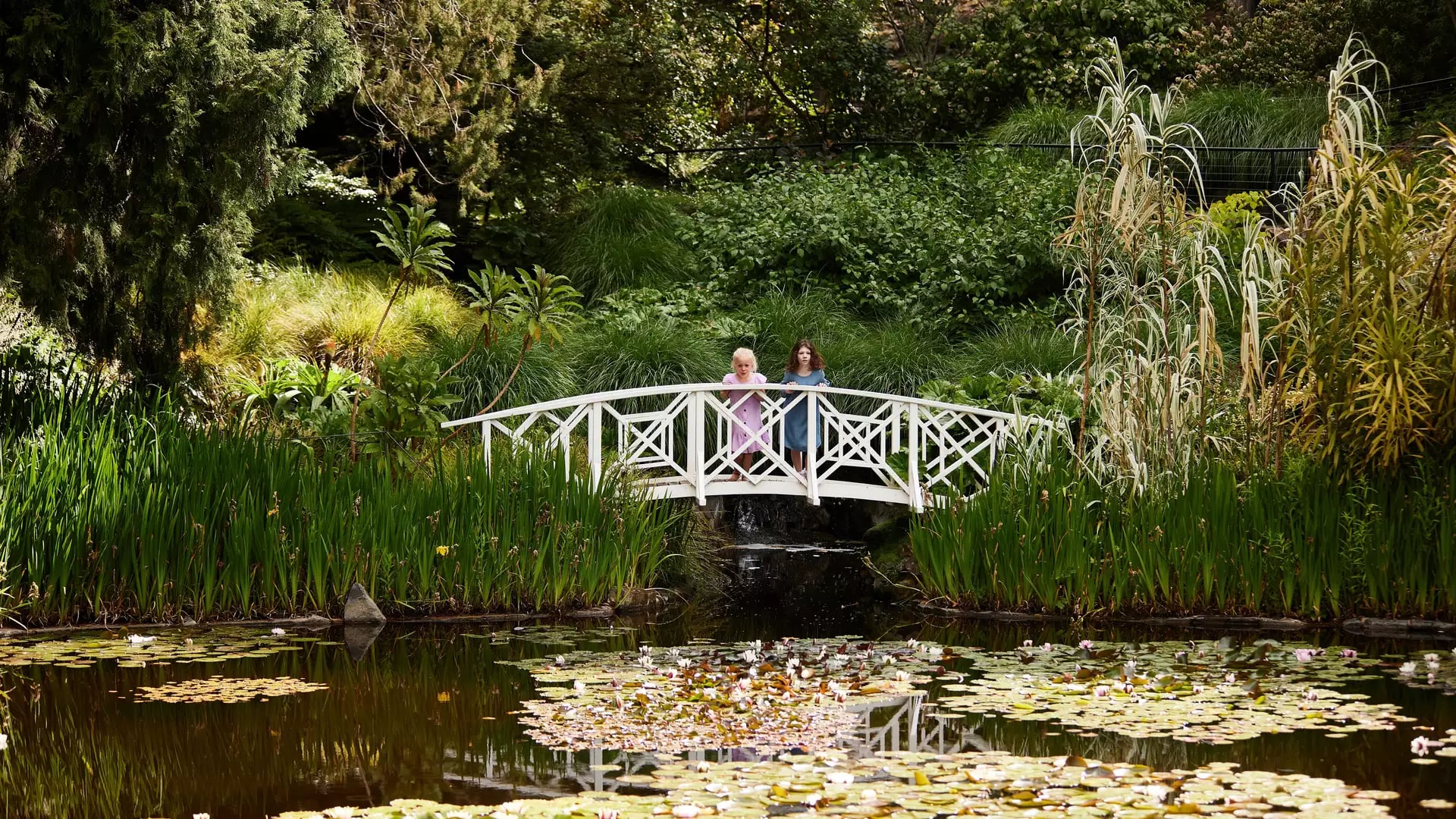 Two people stand on a white decorative bridge over a pond filled with water lilies in a lush botanical garden