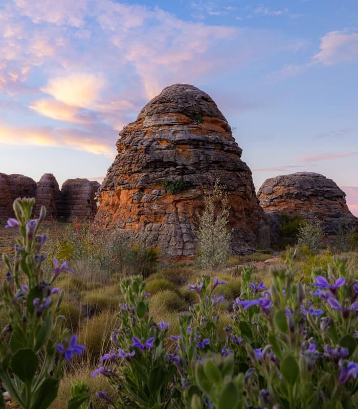 A vertical shot of a prominent, striped beehive dome at sunset, framed by purple wildflowers in the foreground.