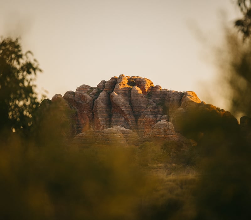 A cluster of rounded, orange and black striped sandstone domes glowing in the warm light of the setting sun, partially obscured by blurred green trees in the foreground.