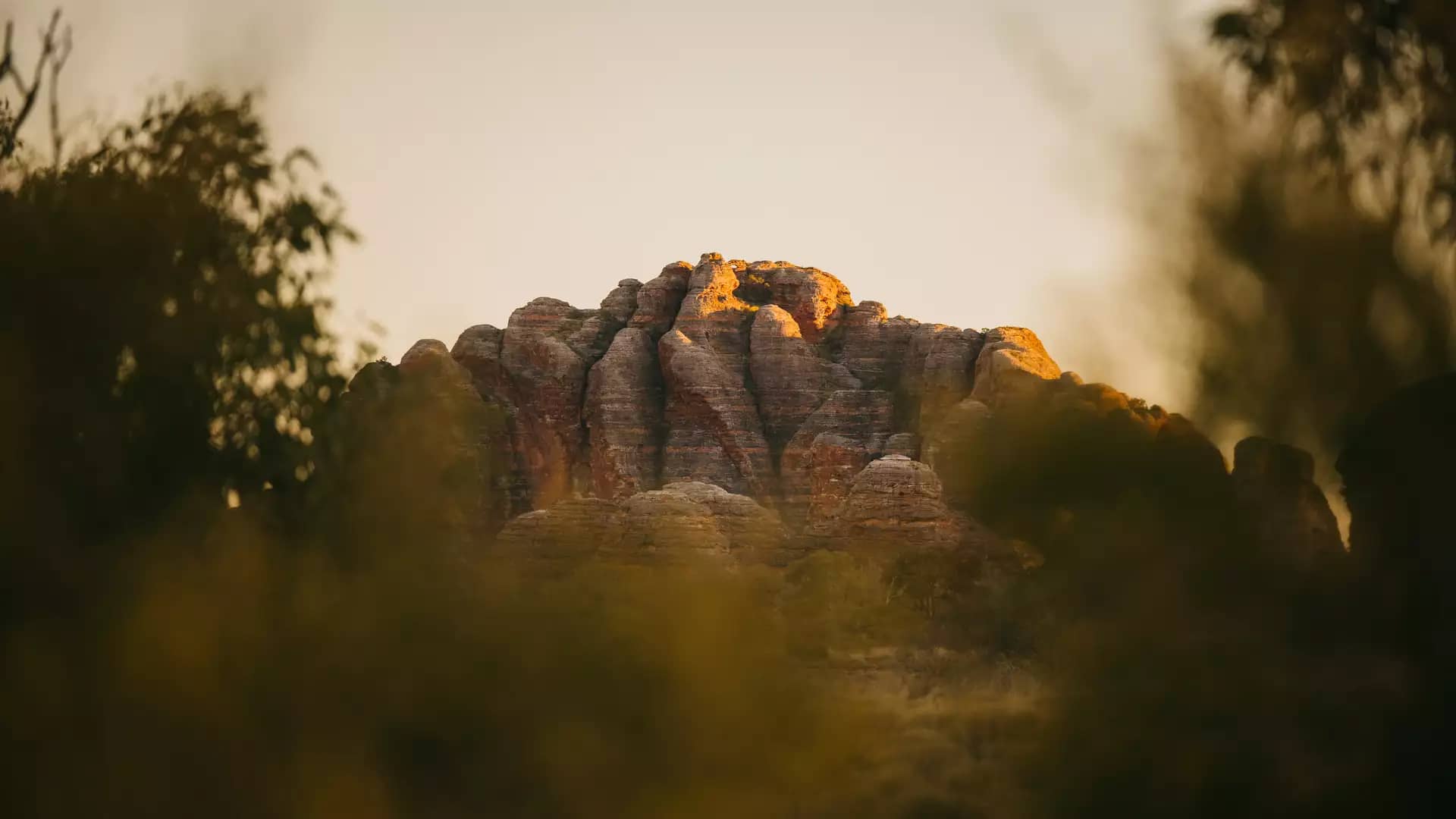 A cluster of rounded, orange and black striped sandstone domes glowing in the warm light of the setting sun, partially obscured by blurred green trees in the foreground.