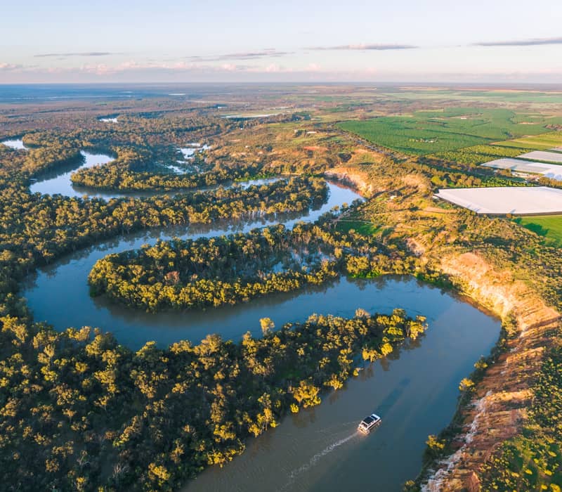 High-altitude aerial view of a houseboat cruising a winding section of the Murray River flanked by dense green trees and agricultural land in South Australia.