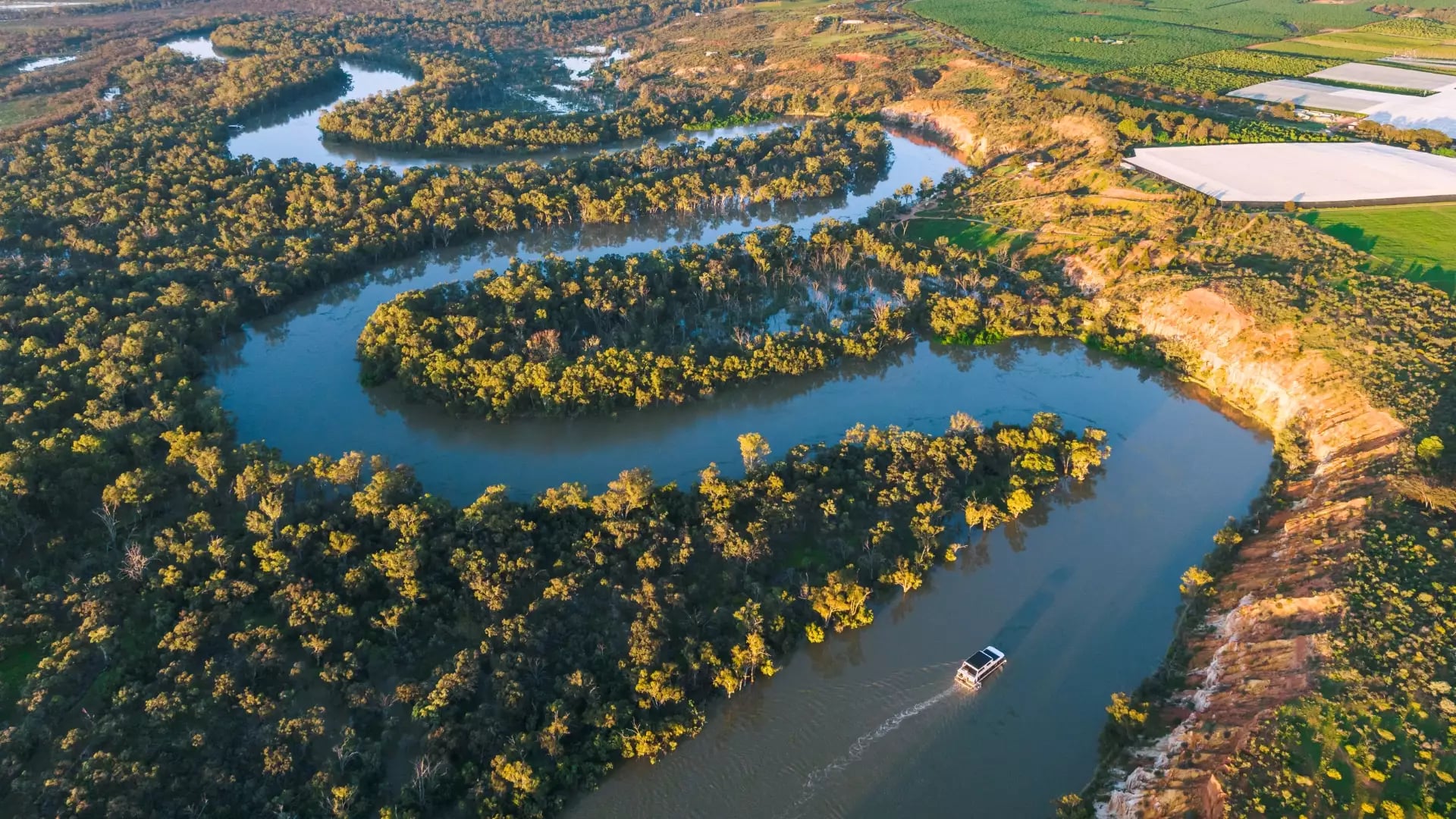High-altitude aerial view of a houseboat cruising a winding section of the Murray River flanked by dense green trees and agricultural land in South Australia.