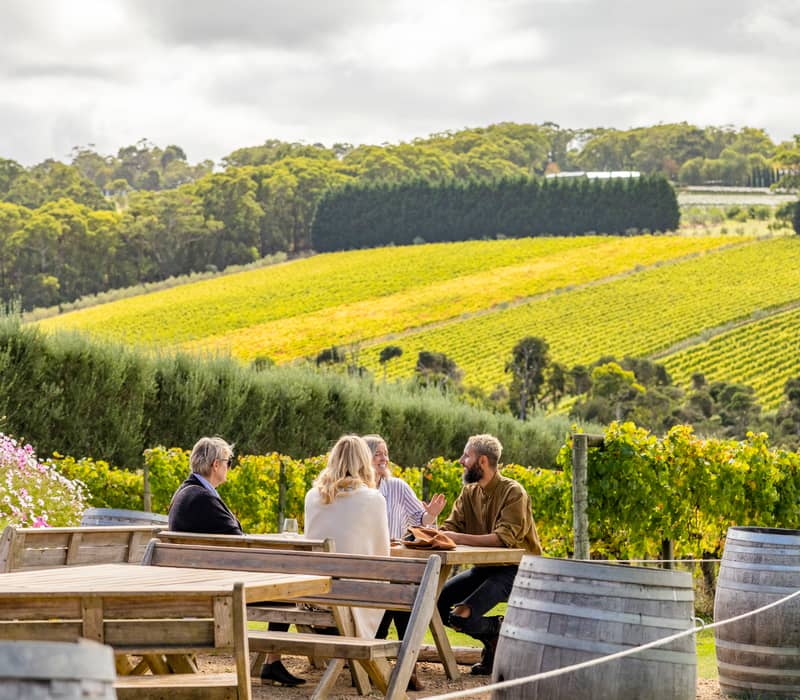 A group of people dining outdoors at a winery with expansive green vineyards in the background.