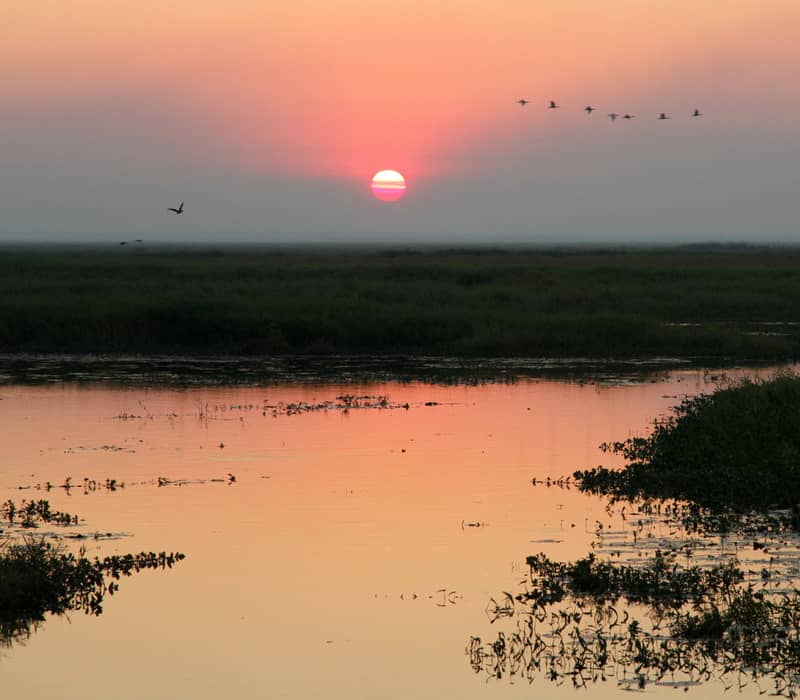 The sun sets in a deep red orb over the Arafura Swamp in Arnhem Land, reflecting off the calm wetland waters. This region is a vital sanctuary for birdlife and holds deep spiritual significance for the Yolŋu people.