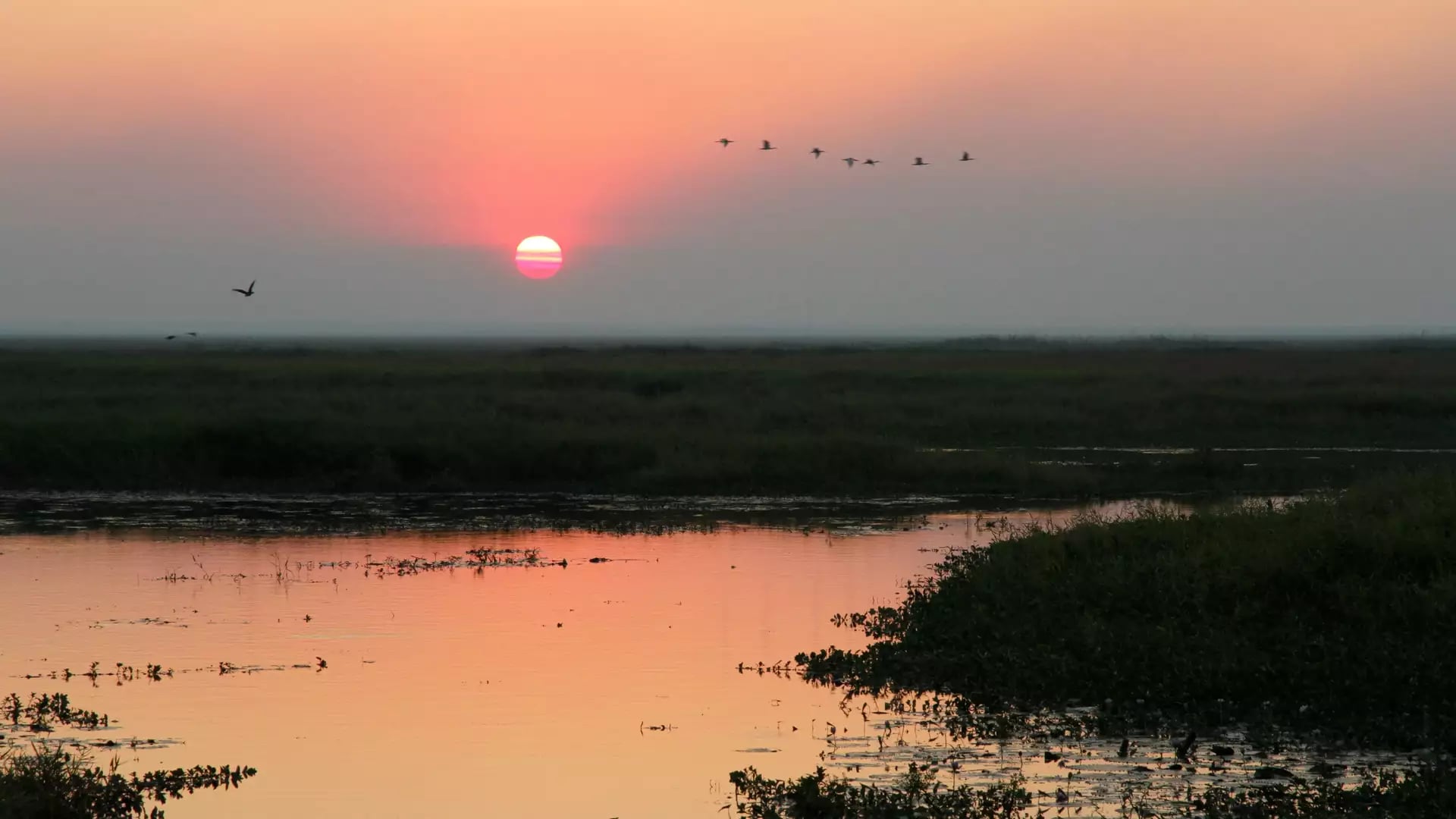 The sun sets in a deep red orb over the Arafura Swamp in Arnhem Land, reflecting off the calm wetland waters. This region is a vital sanctuary for birdlife and holds deep spiritual significance for the Yolŋu people.