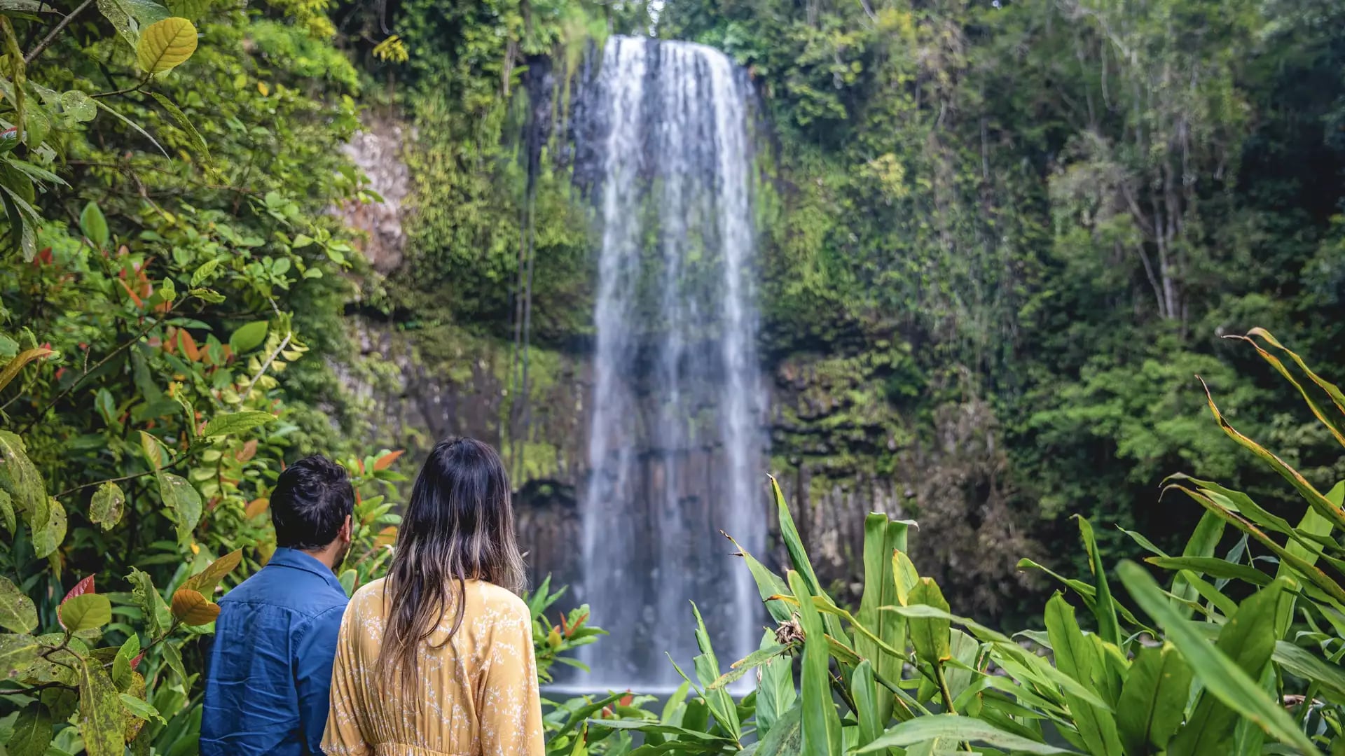 Tourists looking at a high tropical waterfall surrounded by lush green plants in North Queensland.