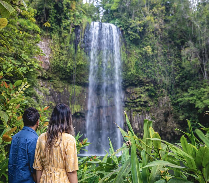 Tourists looking at a high tropical waterfall surrounded by lush green plants in North Queensland.